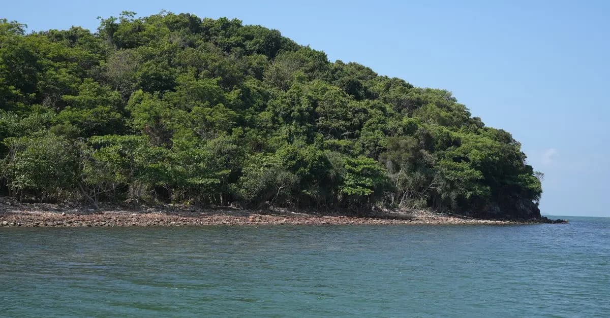 Pourquoi explorer les mystères des îles inexplorées ?