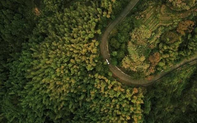À la découverte des rivières majestueuses à explorer