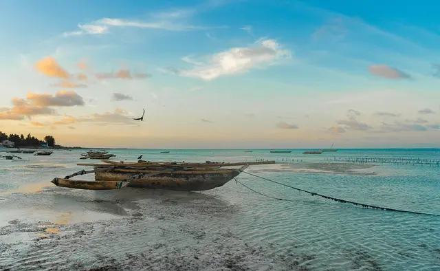Les mystères des îles inexplorées : un voyage fascinant