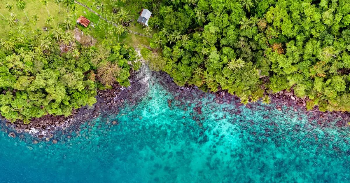 Les mystères des îles inexplorées : un voyage fascinant