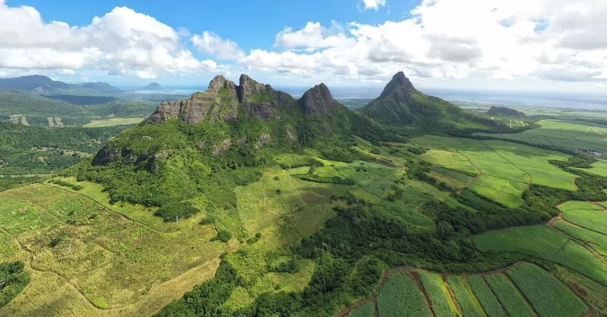 Comment la géographie influence la biodiversité locale