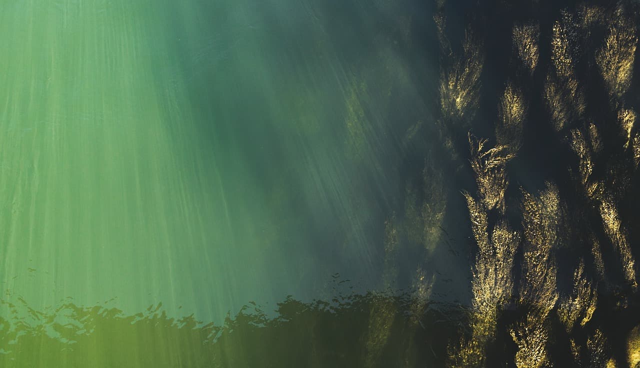À la découverte des paysages géographiques uniques à travers le monde