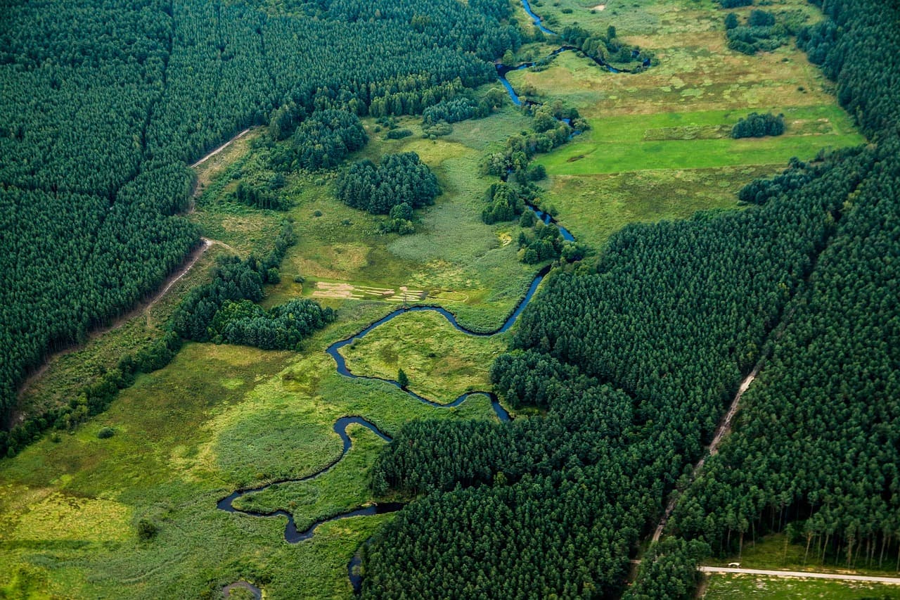 À la découverte des systèmes fluviaux emblématiques